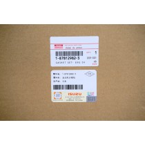 Set garnituri motor